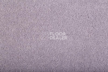 Ковролин Condor Carrera 17 фото 1 | FLOORDEALER